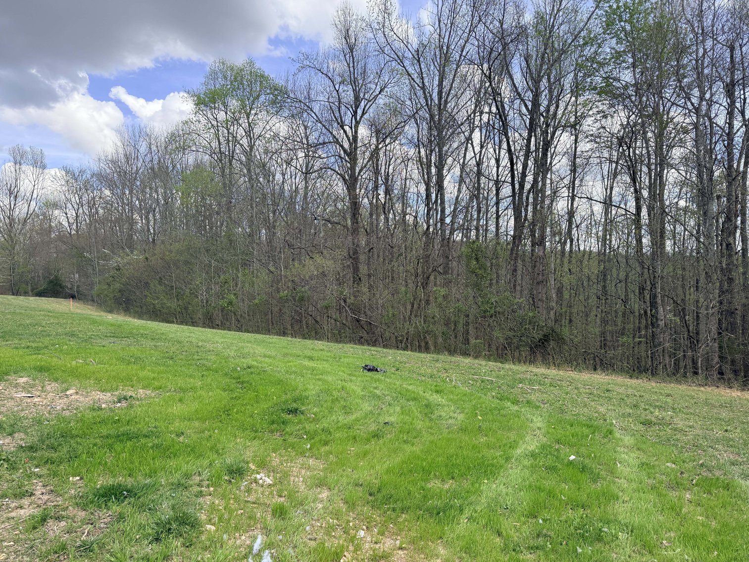 Image for 935 Sugar Tree Knob Rd, Liberty