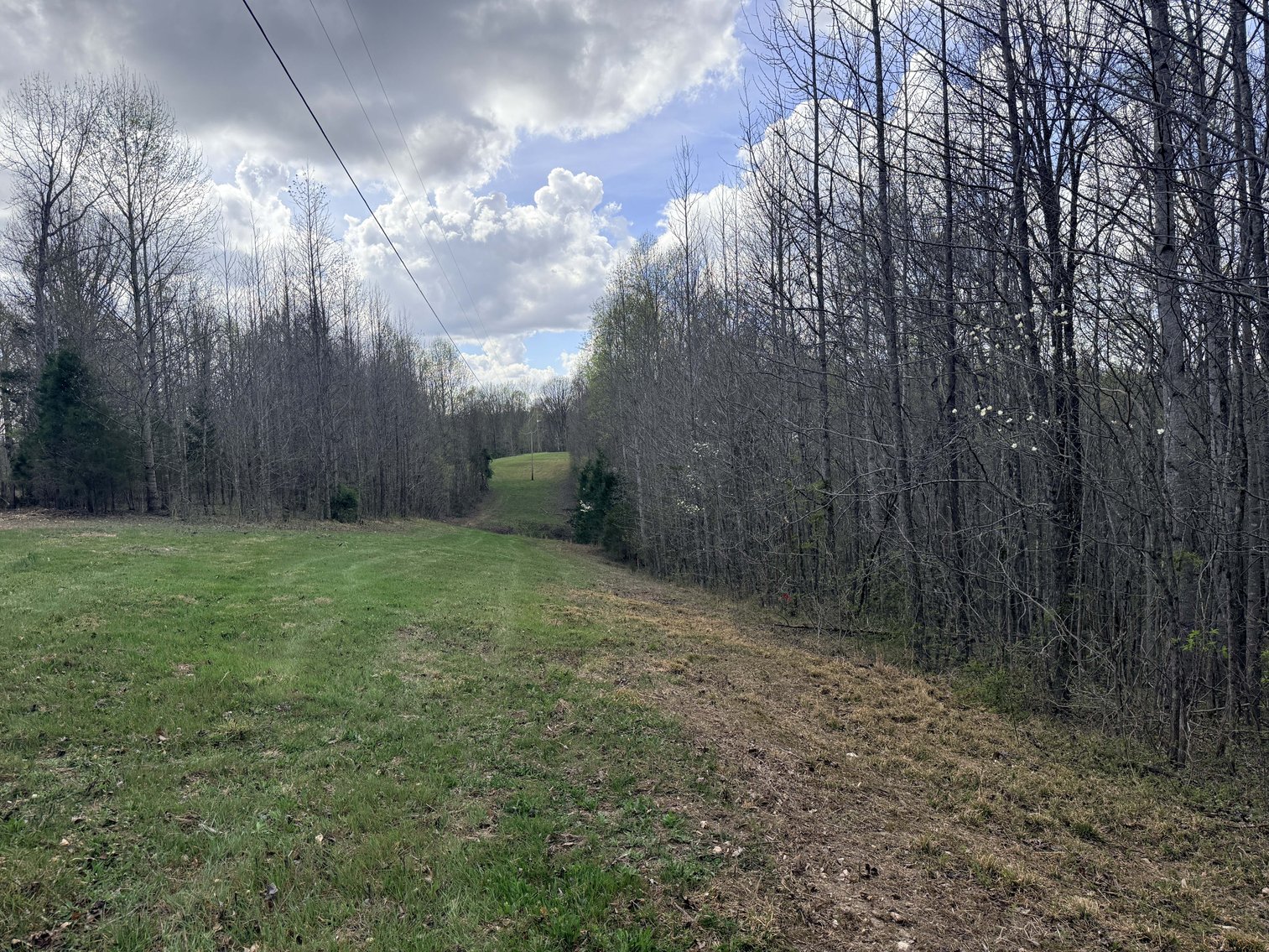 Image for 935 Sugar Tree Knob Rd, Liberty