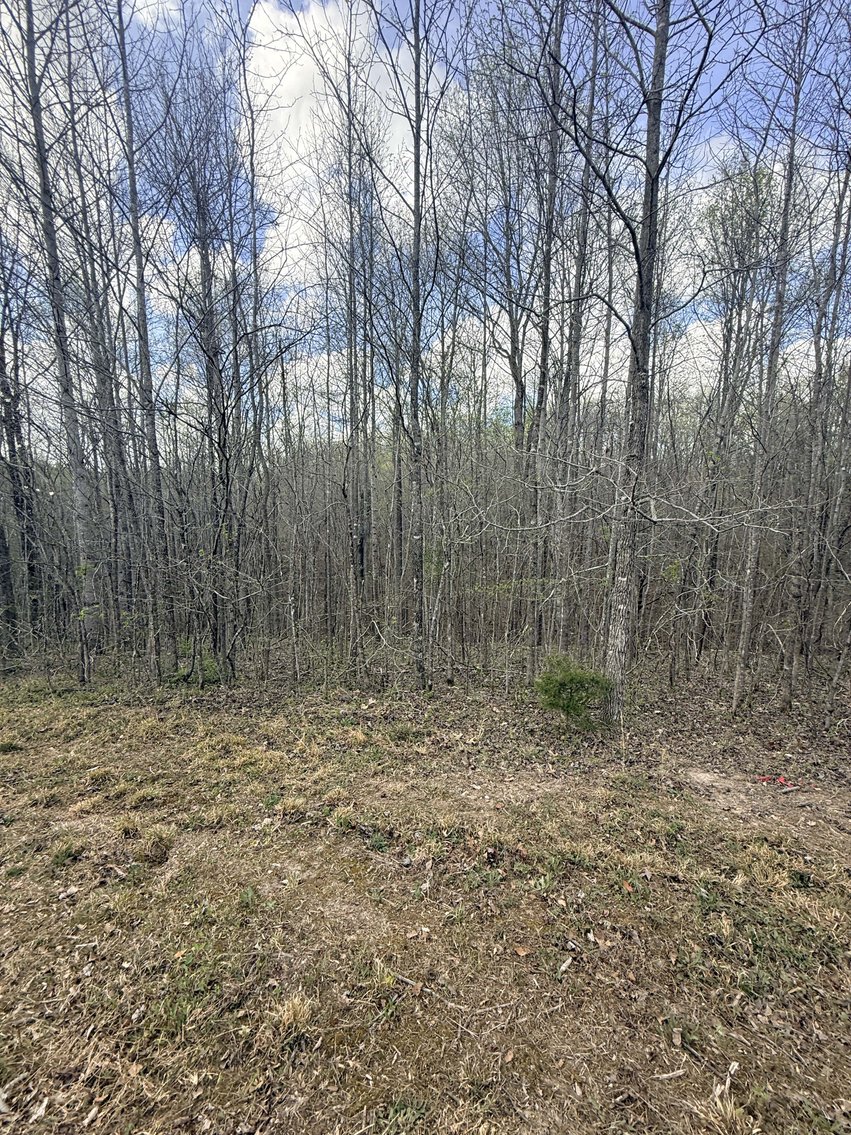 Image for 935 Sugar Tree Knob Rd, Liberty