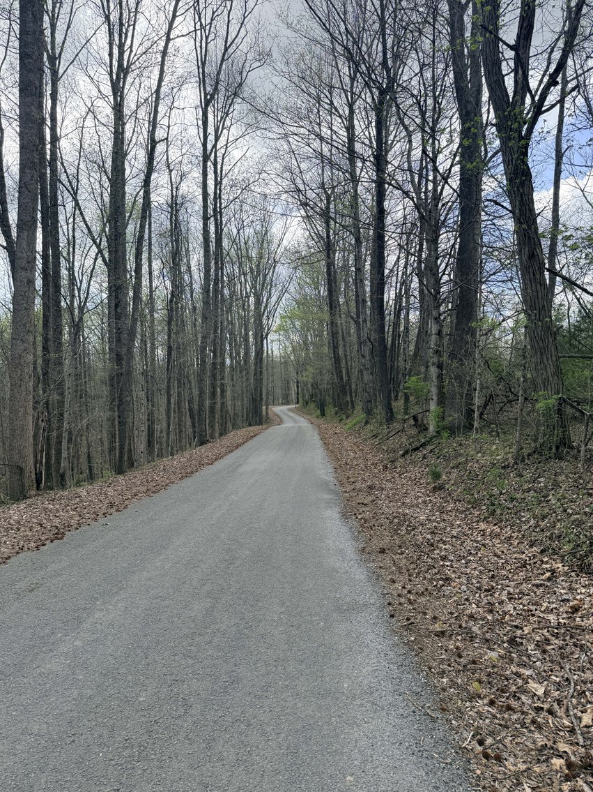 Image for 935 Sugar Tree Knob Rd, Liberty