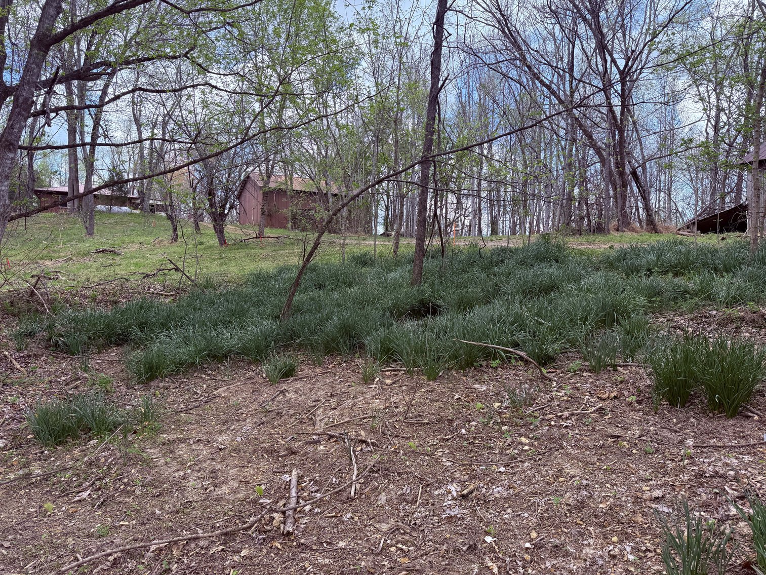 Image for 935 Sugar Tree Knob Rd, Liberty