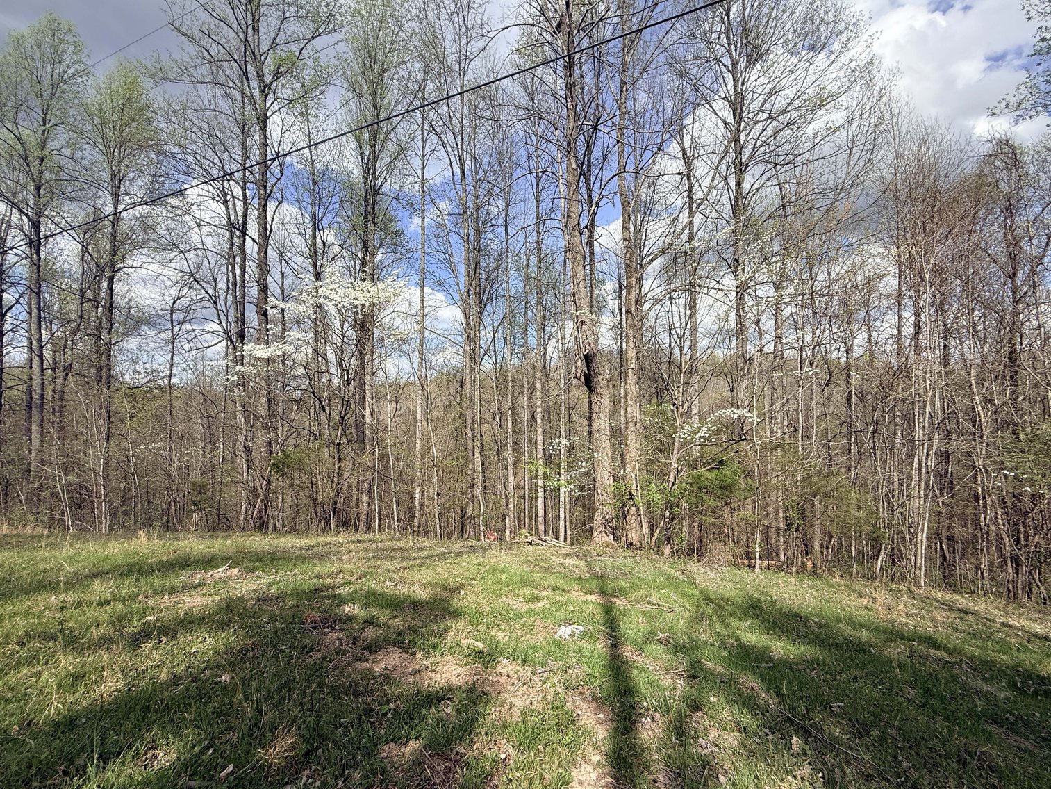 Image for 935 Sugar Tree Knob Rd, Liberty