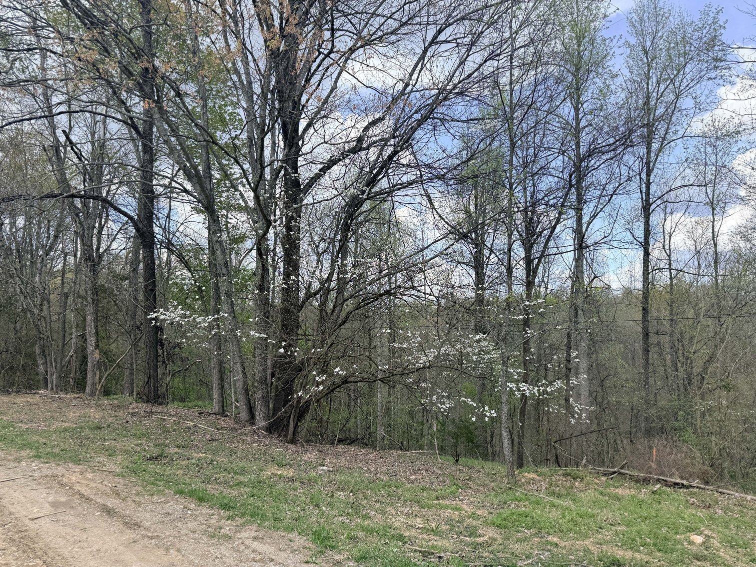 Image for 935 Sugar Tree Knob Rd, Liberty