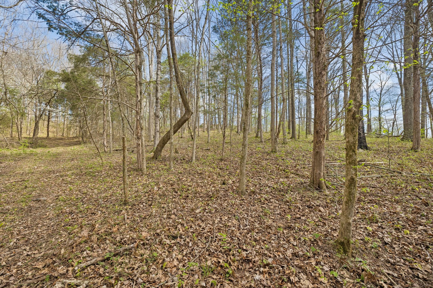 Image for Turney Road, Auburntown