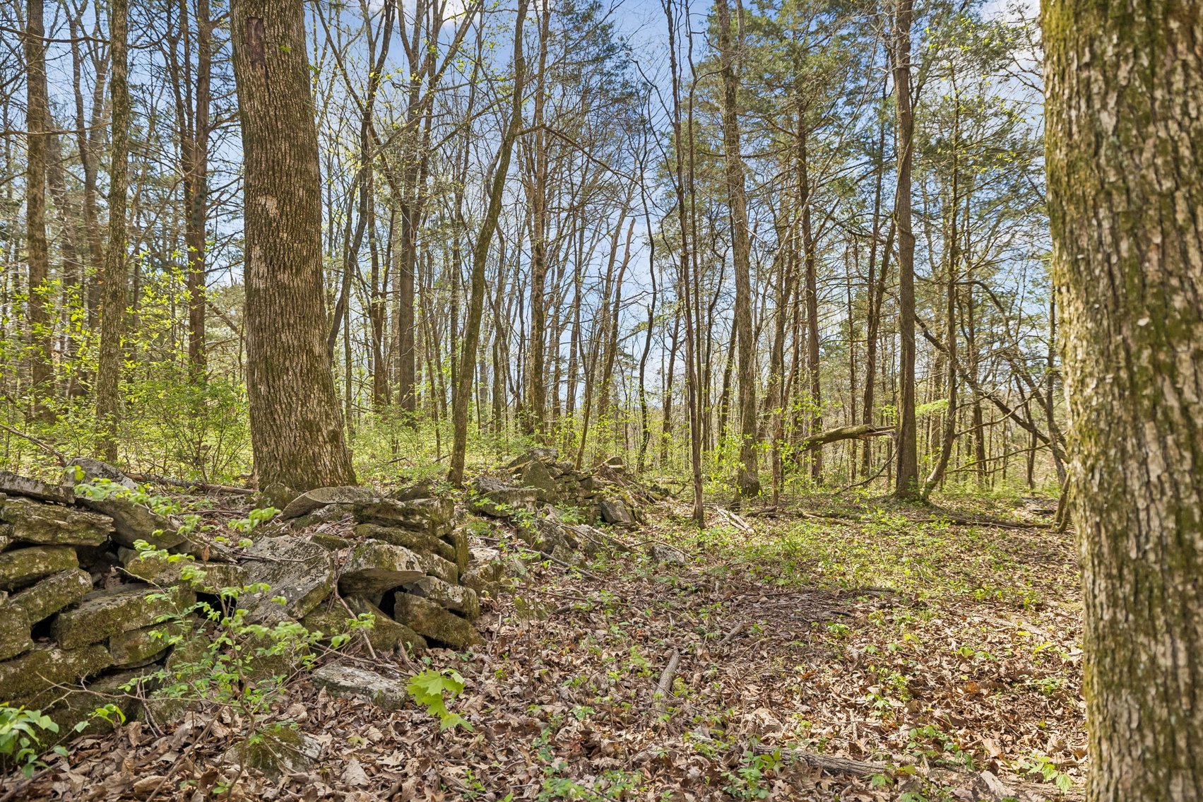 Image for Turney Road, Auburntown