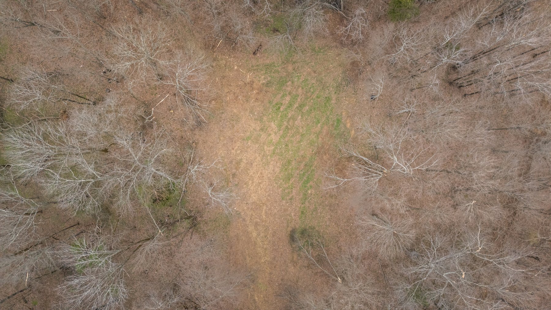 Image for 640 Lindsey Hollow Road, Gallatin