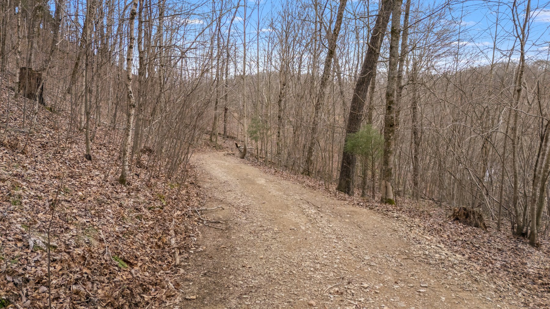 Image for 640 Lindsey Hollow Road, Gallatin