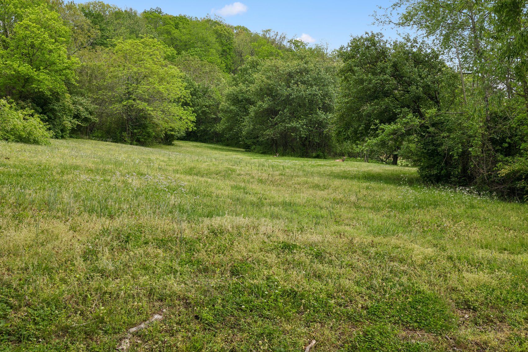 Image for 1352 Holly Tree Gap Road, Brentwood