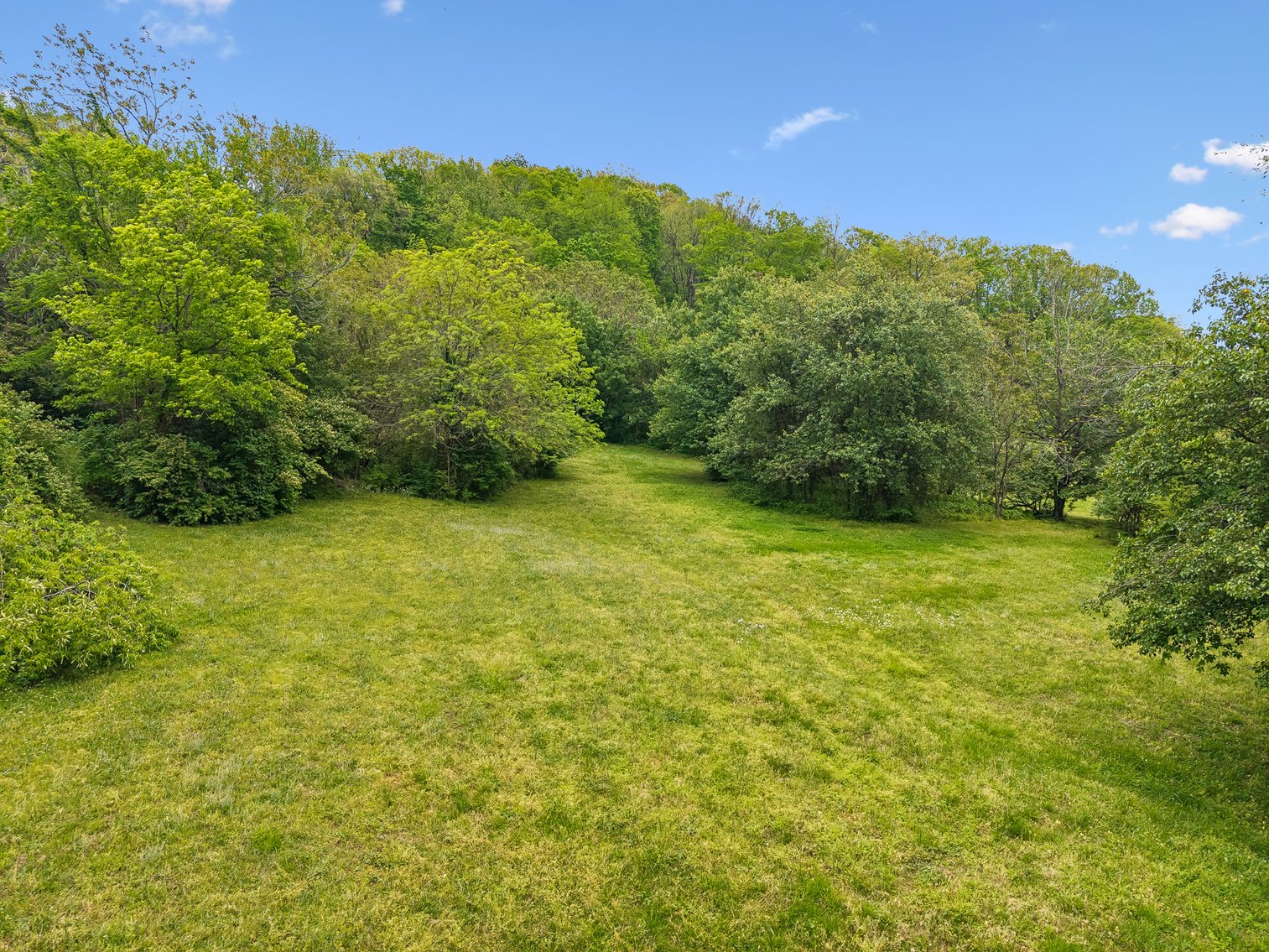 Image for 1352 Holly Tree Gap Road, Brentwood