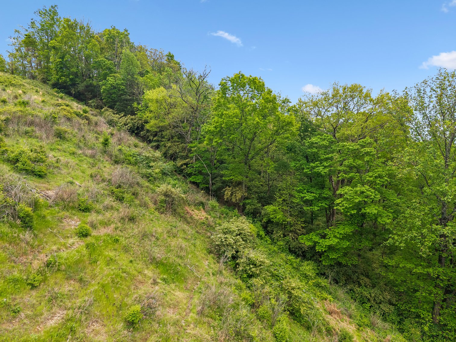 Image for 1352 Holly Tree Gap Road, Brentwood