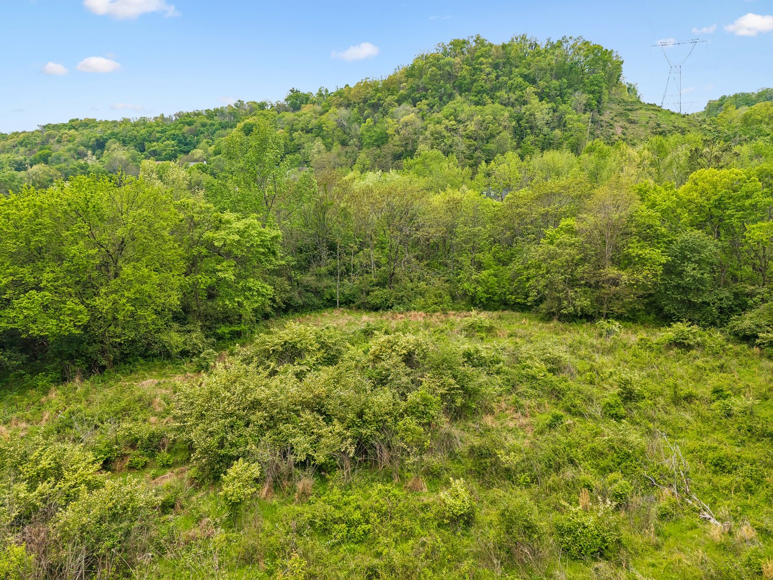 Image for 1352 Holly Tree Gap Road, Brentwood