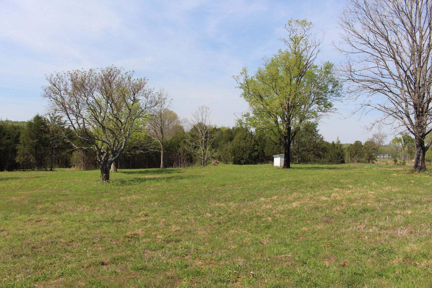 Image for 9651 Halls Hill Pike, Milton