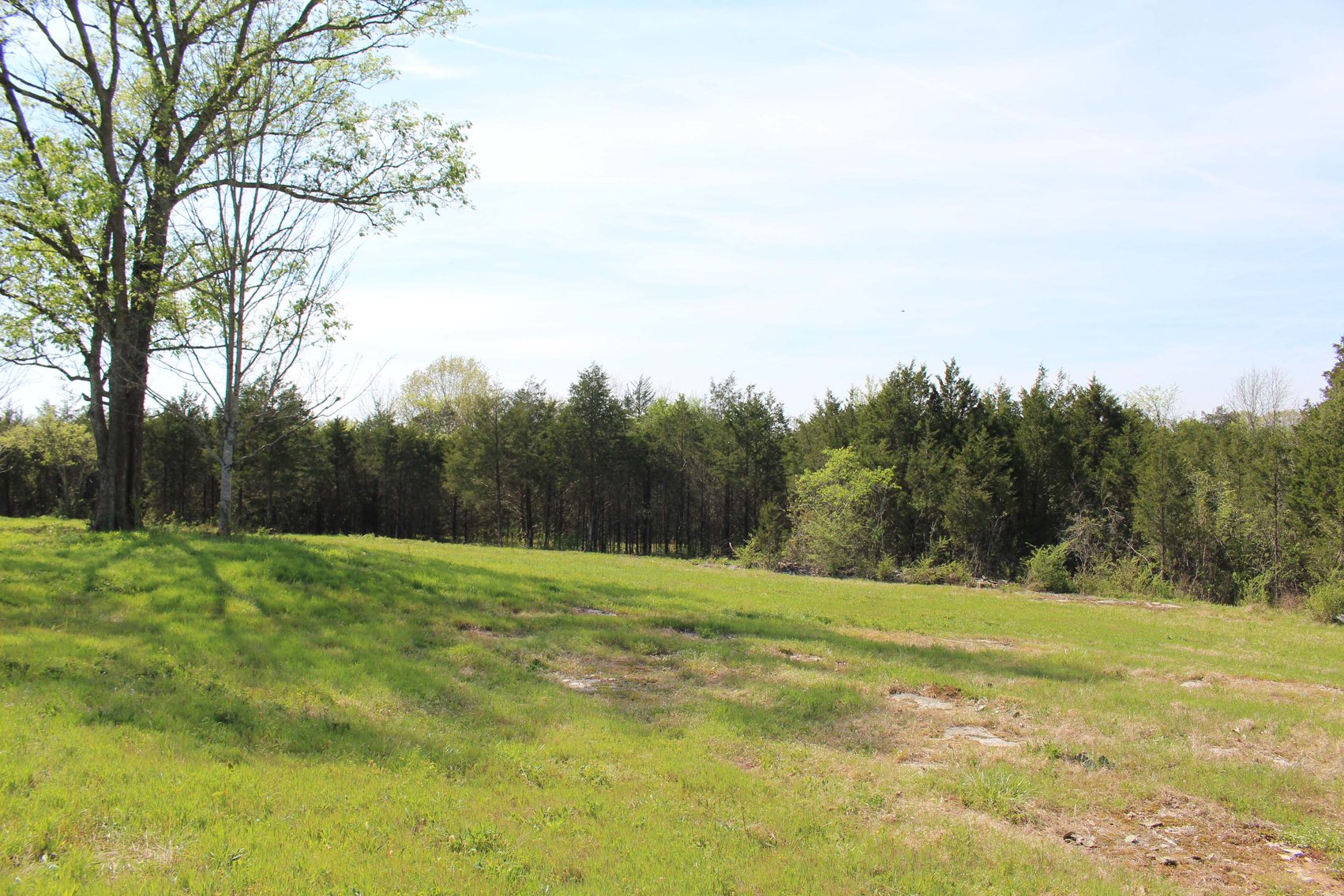 Image for 9651 Halls Hill Pike, Milton