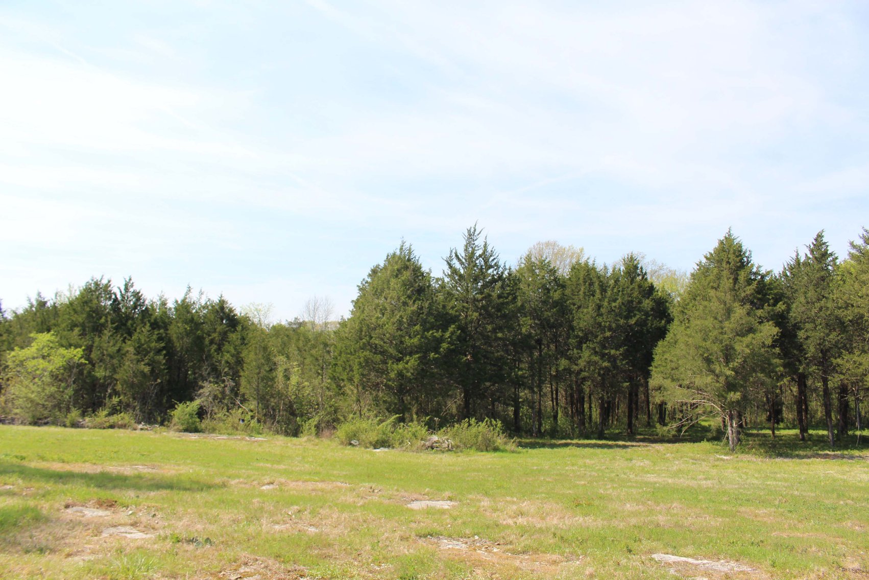 Image for 9651 Halls Hill Pike, Milton