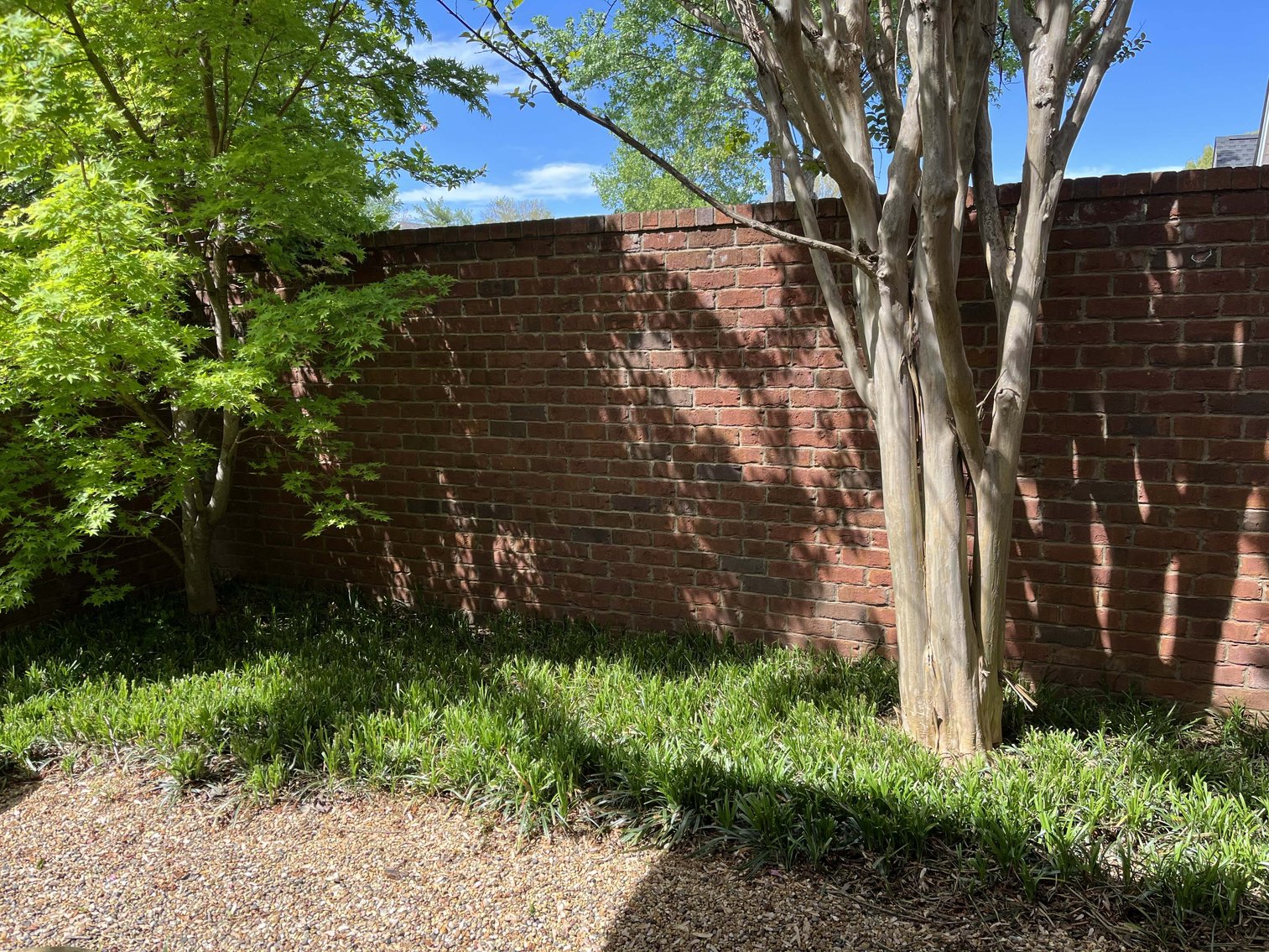 Image for 215 Seminole Street, Murfreesboro