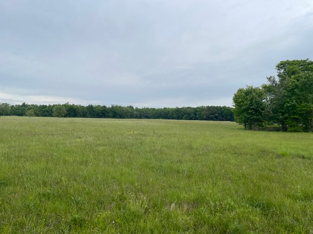 Image for 6002 Fredonia Road, Manchester