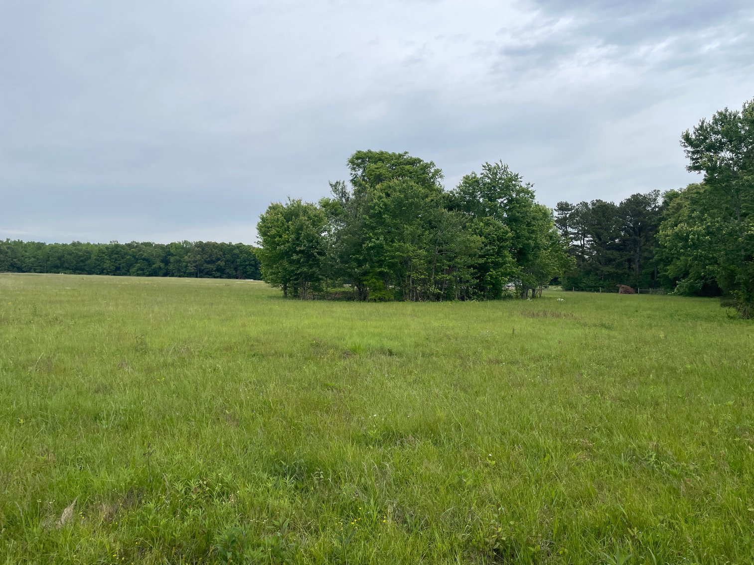 Image for 6002 Fredonia Road, Manchester