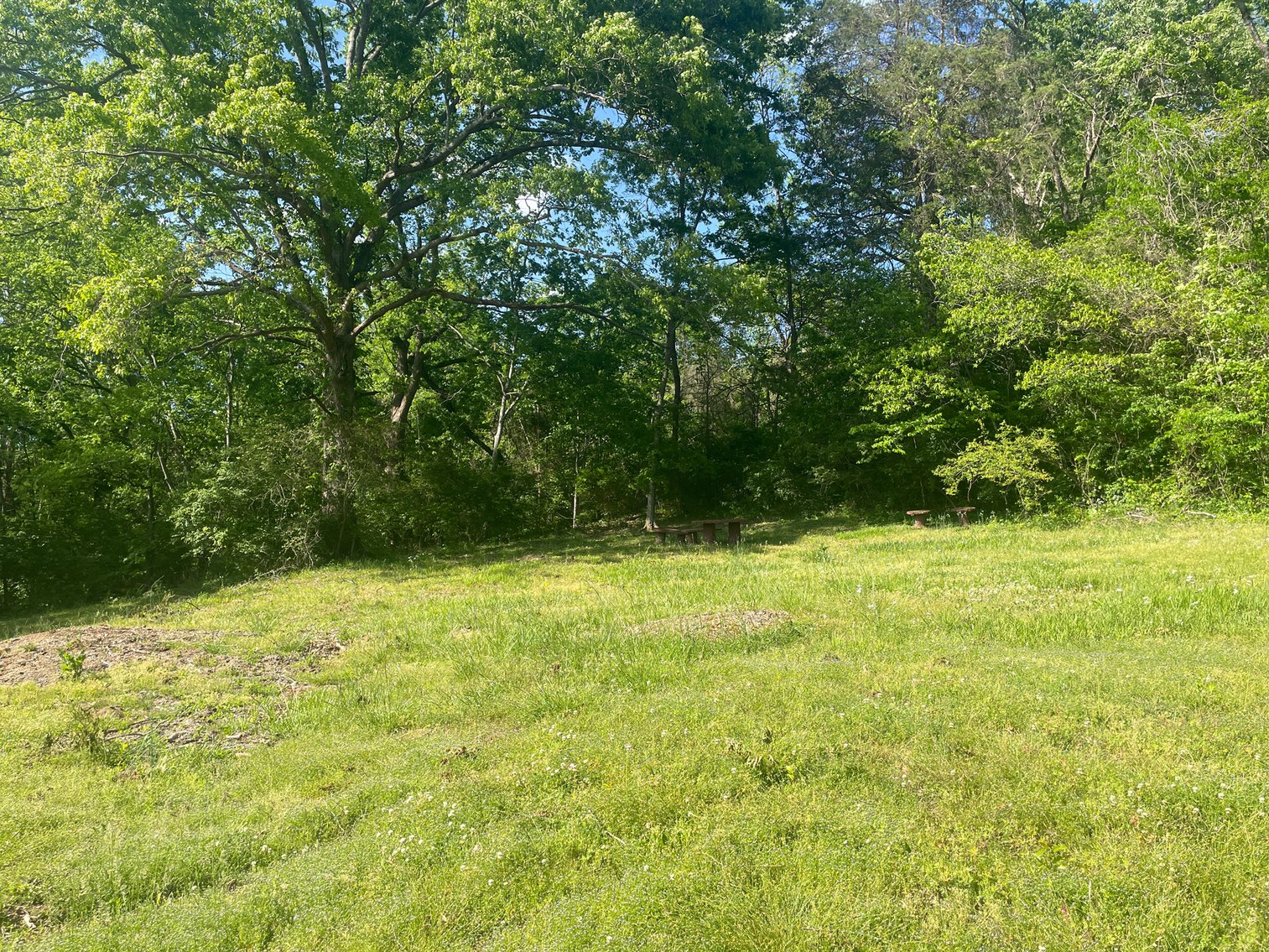 Image for 4671 Whites Creek Pike, Whites Creek