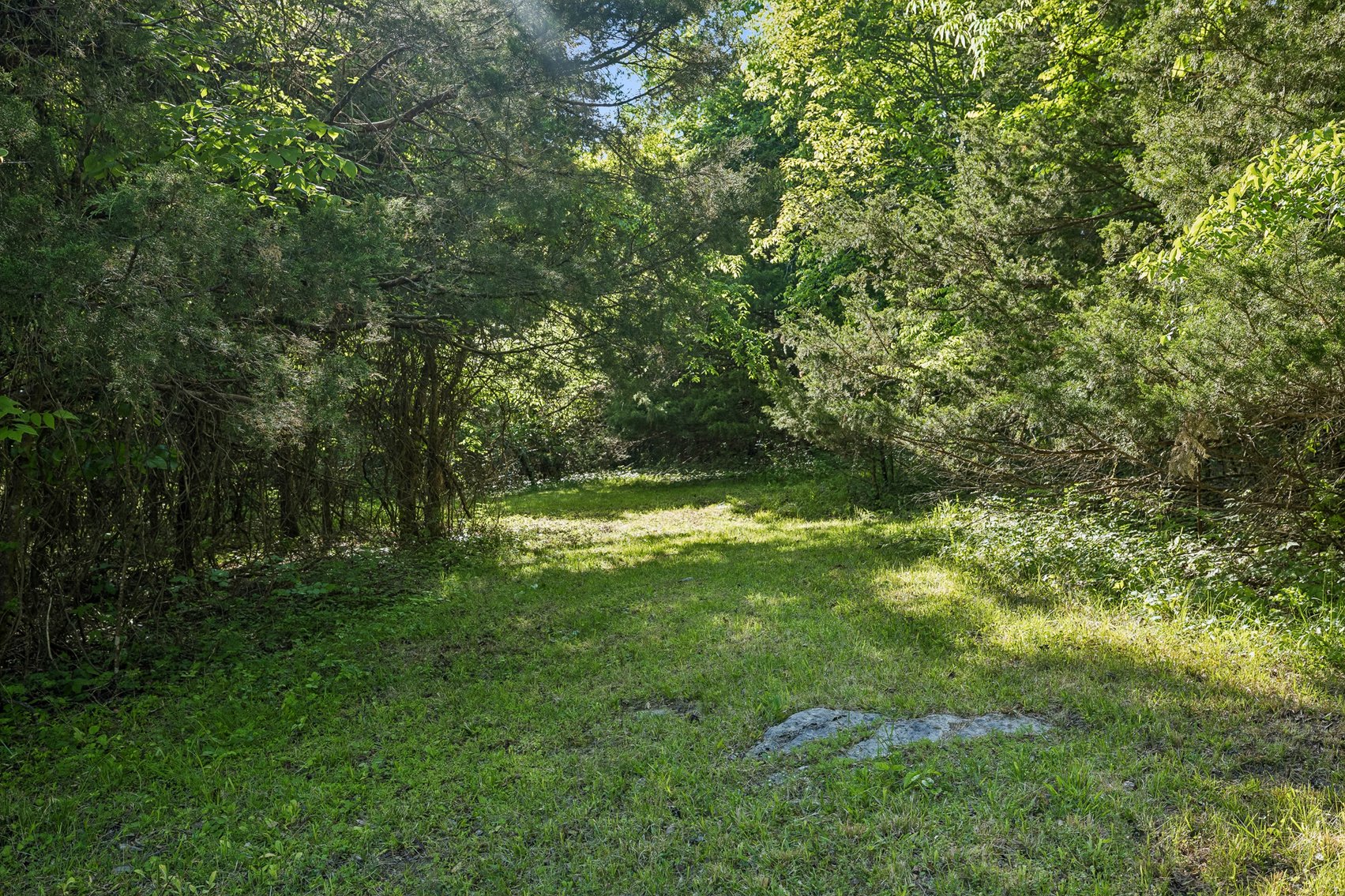 Image for 1650 Dickens Hill Road, Bradyville