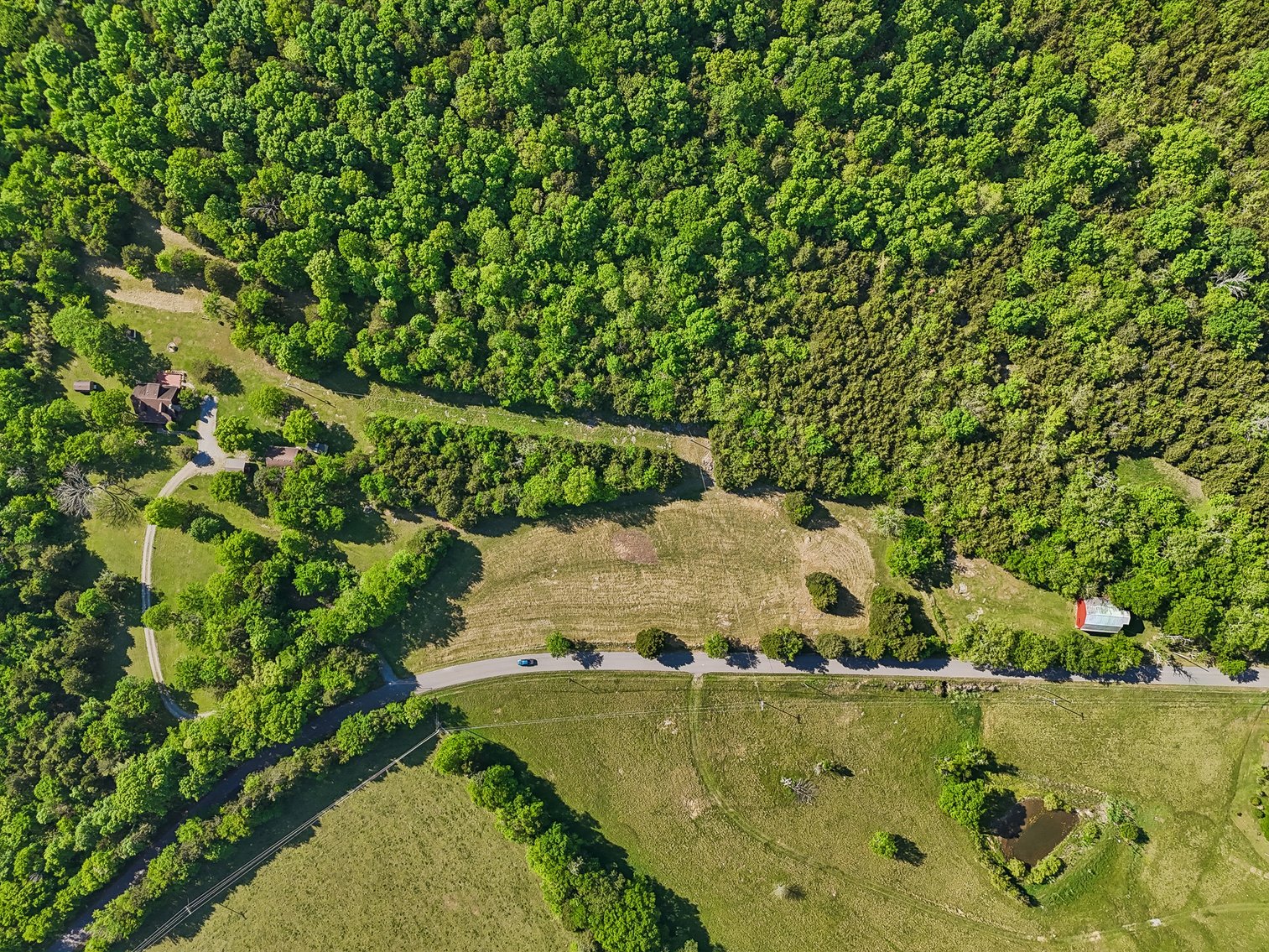 Image for 1650 Dickens Hill Road, Bradyville
