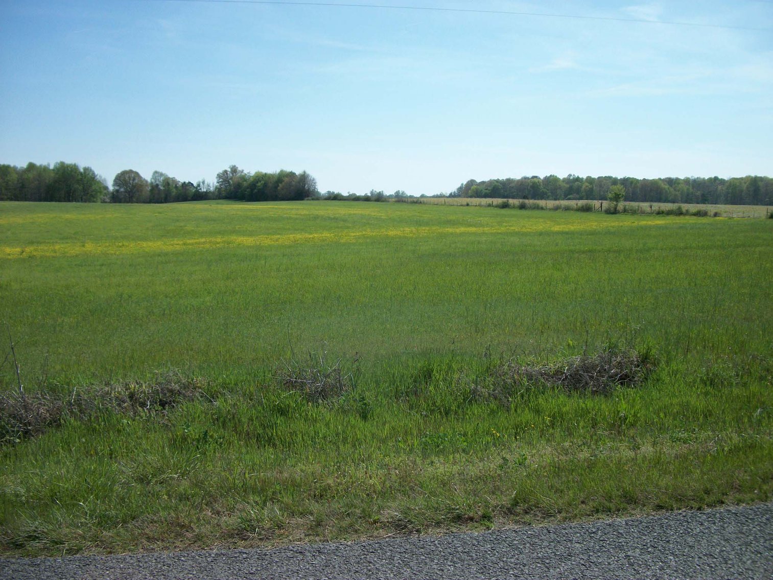 Image for Blanton School Road, Woodbury