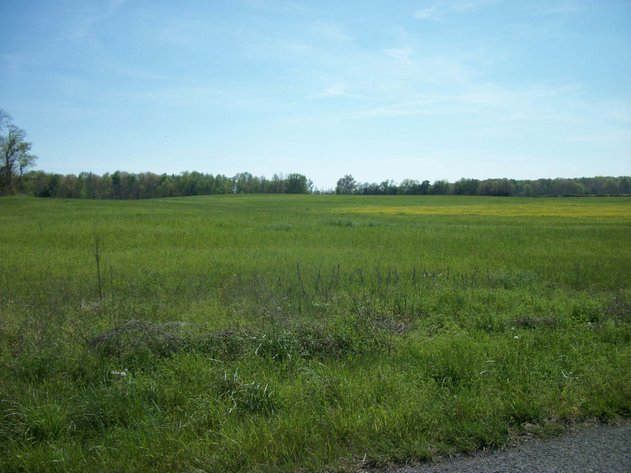 Image for Blanton School Road, Woodbury