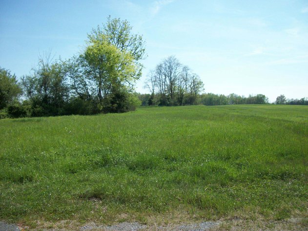 Image for Blanton School Road, Woodbury