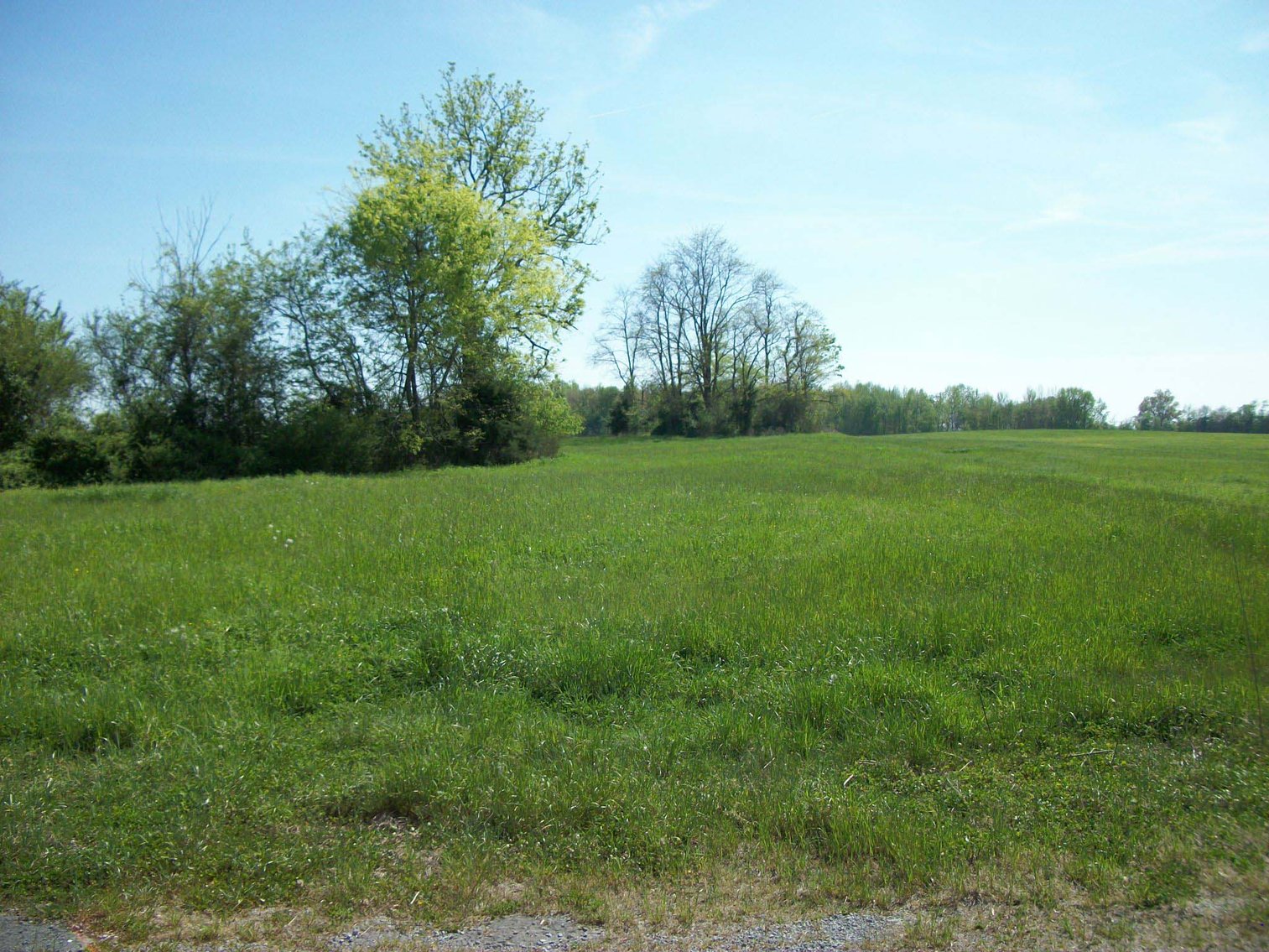 Image for Blanton School Road, Woodbury