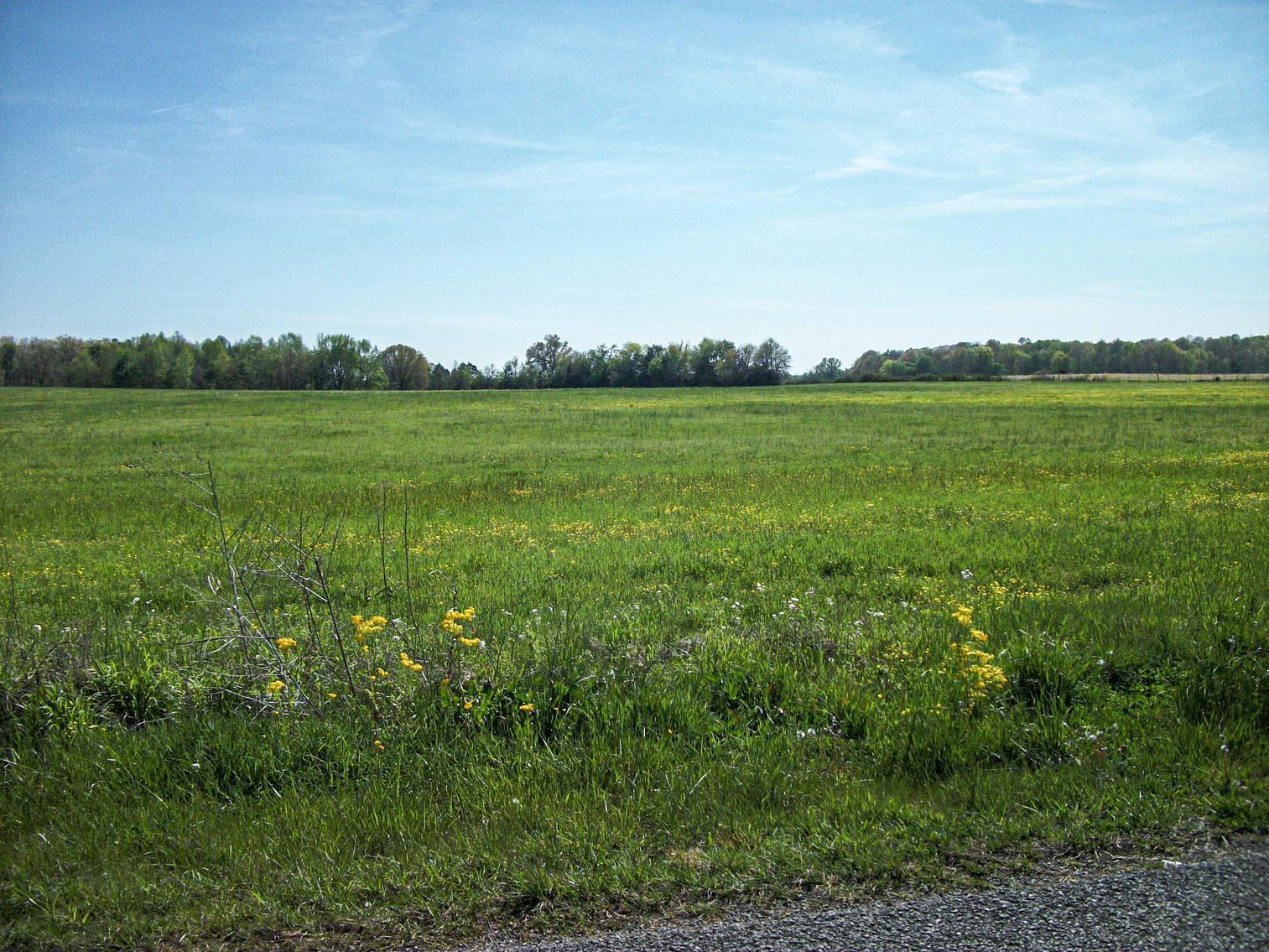 Image for Blanton School Road, Woodbury