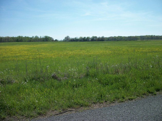 Image for Blanton School Road, Woodbury