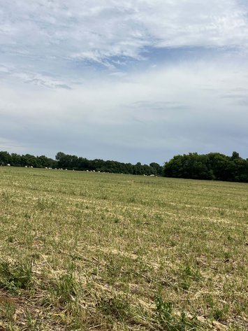 Image for 3056 Old Salem Rd, Murfreesboro