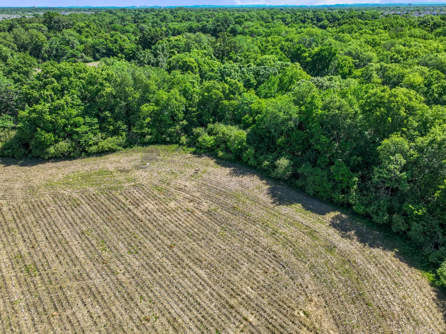 Image for 3056 Old Salem Rd, Murfreesboro
