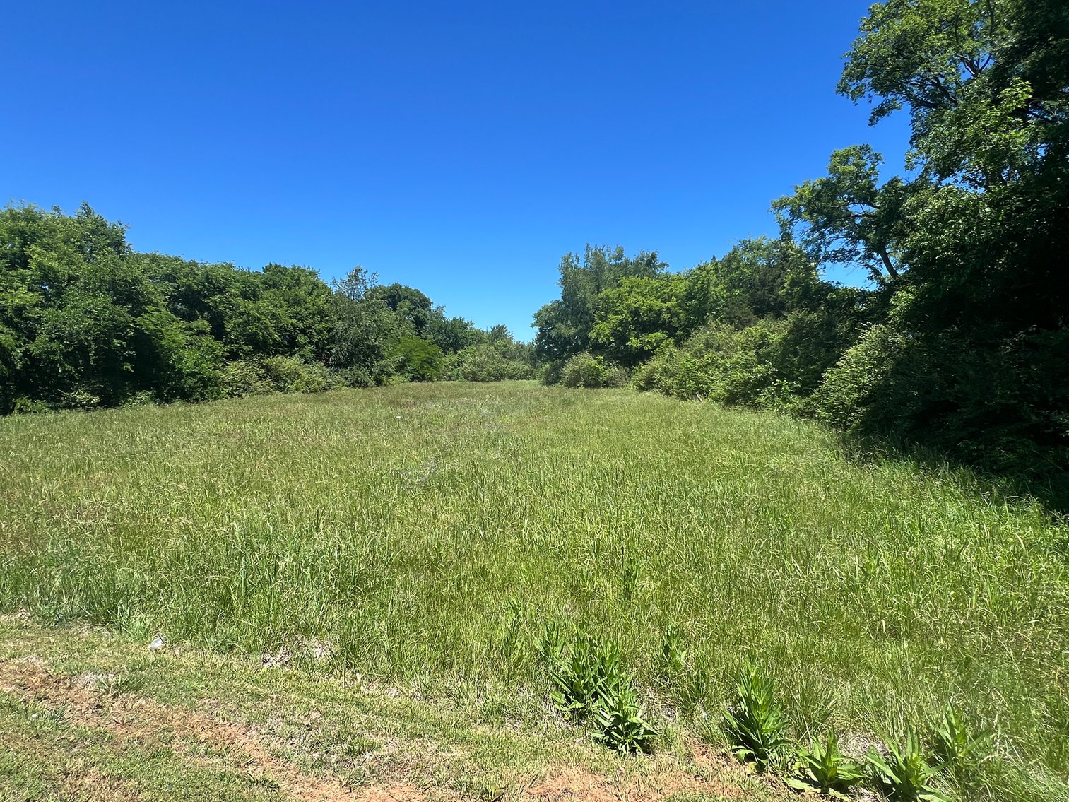 Image for Dejarnette Lane, Murfreesboro
