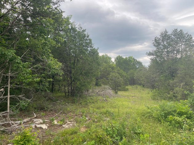 Image for 3822 Bivens Hill Road, Readyville