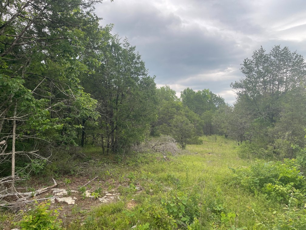 Image for 3822 Bivens Hill Road, Readyville