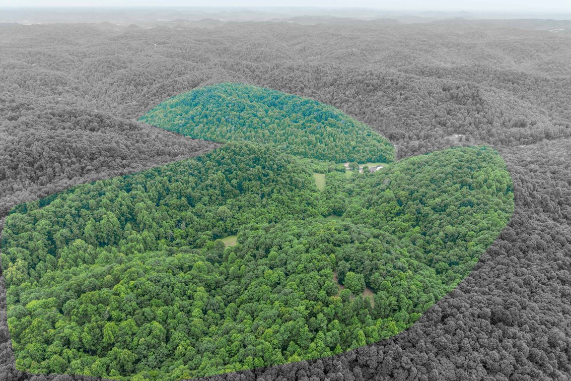 Image for 1771 & 1784 Hurricane Creek, Woodbury