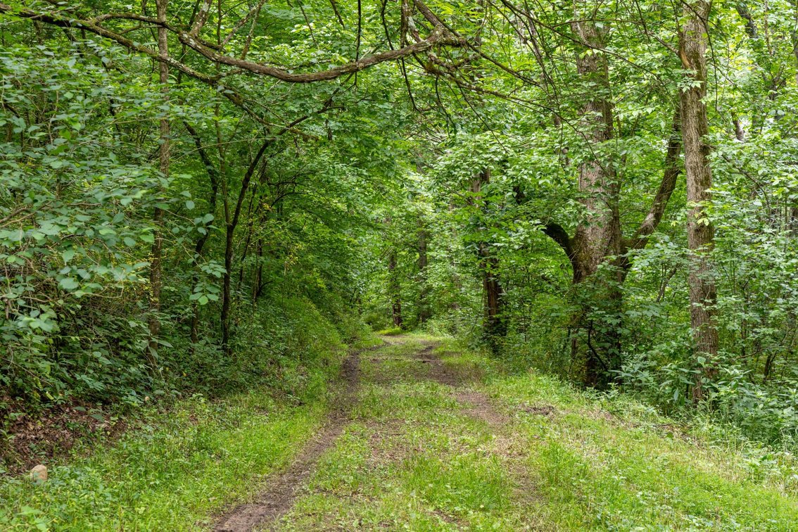 Image for 1771 & 1784 Hurricane Creek, Woodbury