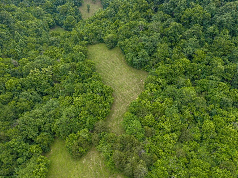 Image for 1771 & 1784 Hurricane Creek, Woodbury