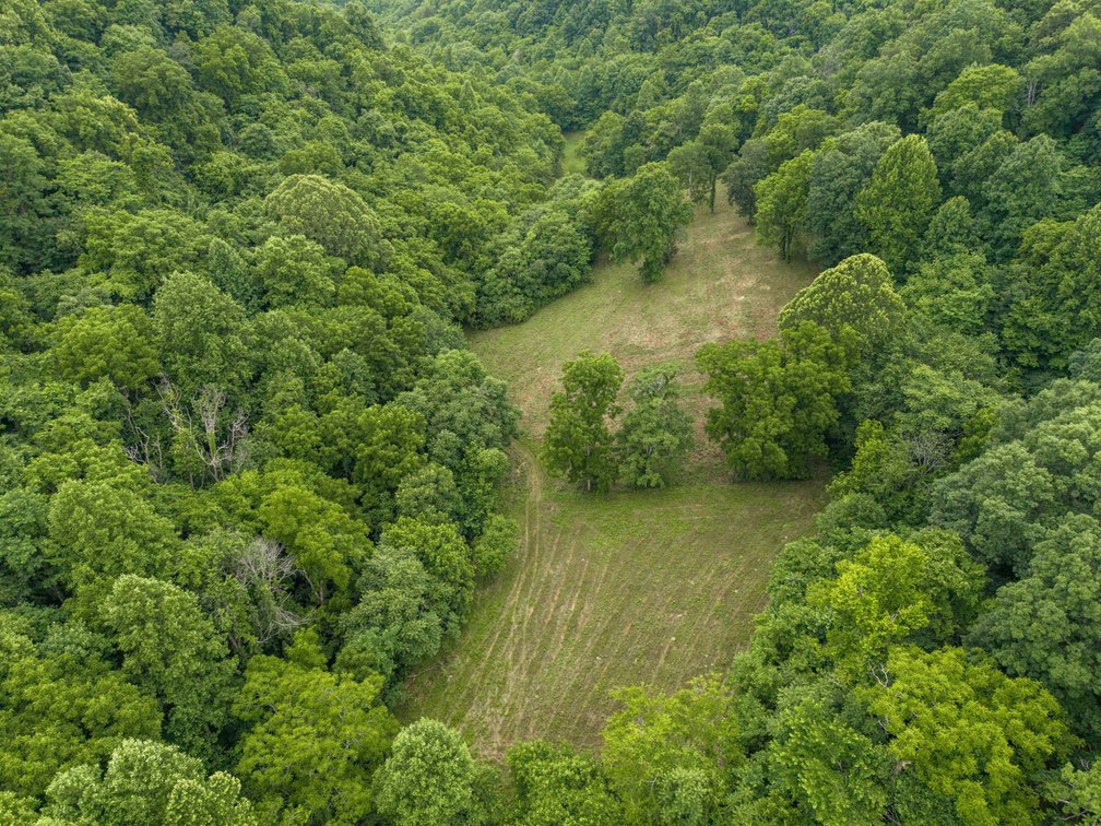 Image for 1771 & 1784 Hurricane Creek, Woodbury