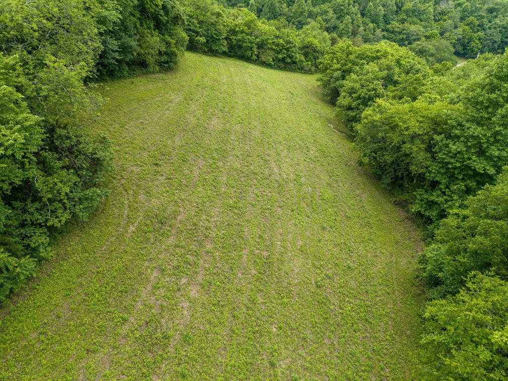 Image for 1771 & 1784 Hurricane Creek, Woodbury