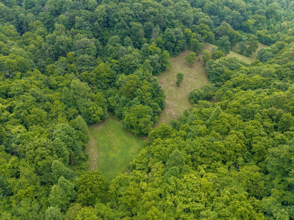 Image for 1771 & 1784 Hurricane Creek, Woodbury
