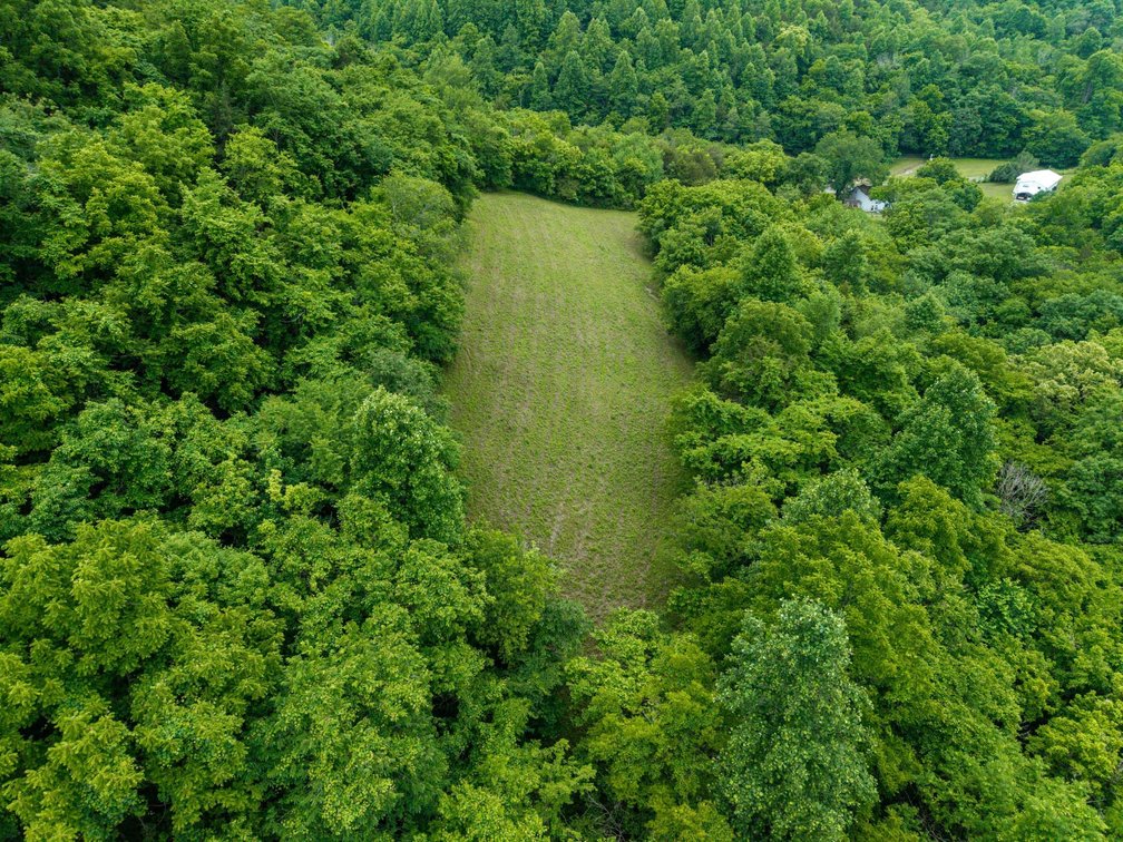 Image for 1771 & 1784 Hurricane Creek, Woodbury