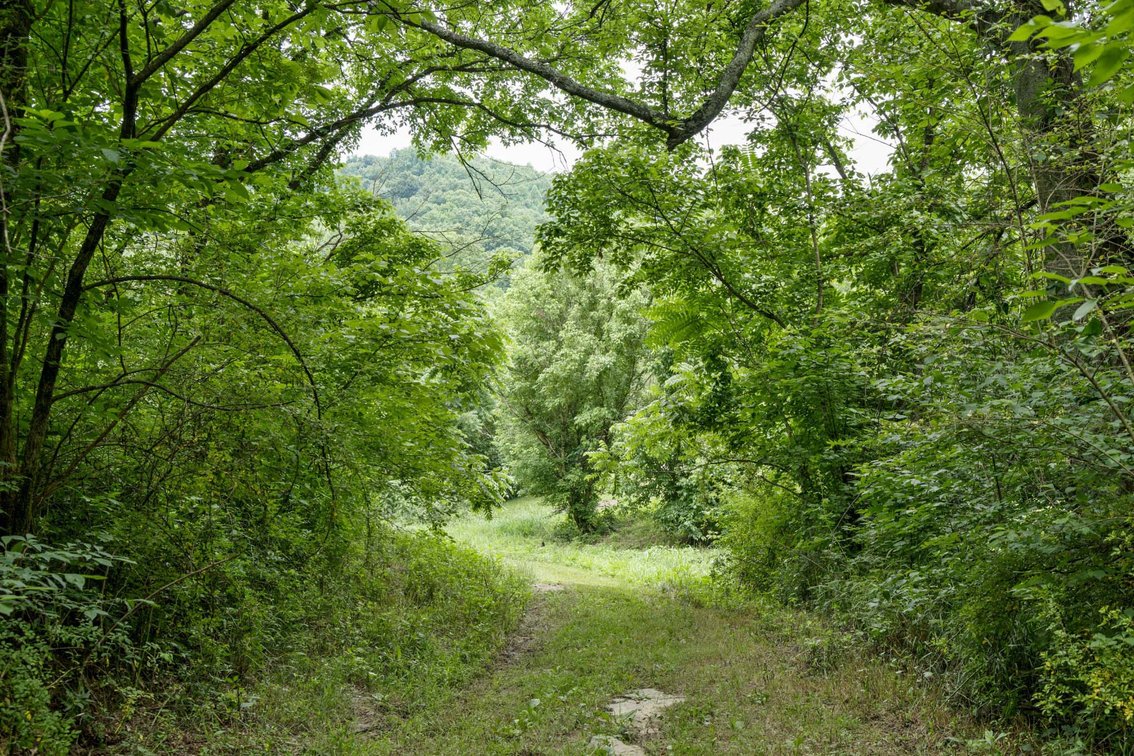 Image for 1771 & 1784 Hurricane Creek, Woodbury