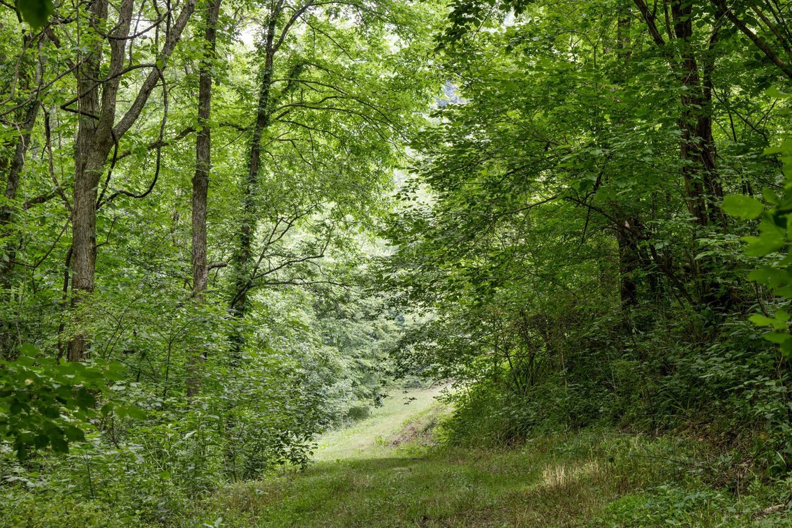 Image for 1771 & 1784 Hurricane Creek, Woodbury