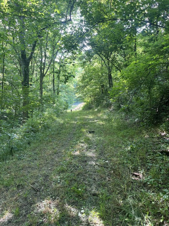 Image for 1771 & 1784 Hurricane Creek, Woodbury