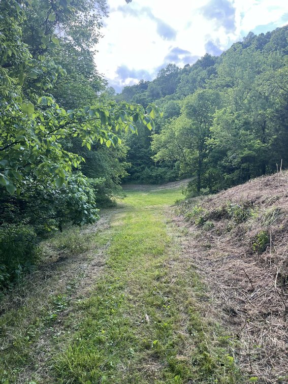 Image for 1771 & 1784 Hurricane Creek, Woodbury