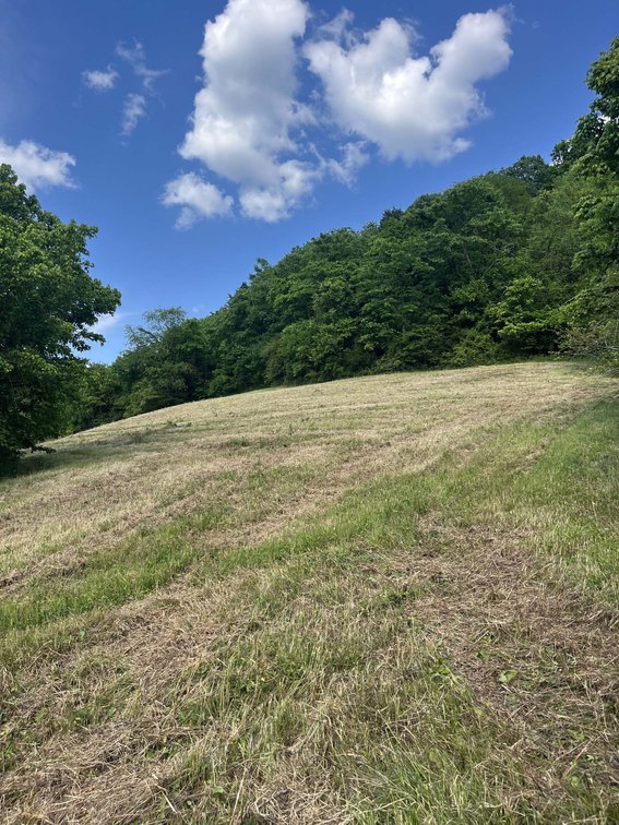 Image for 1771 & 1784 Hurricane Creek, Woodbury