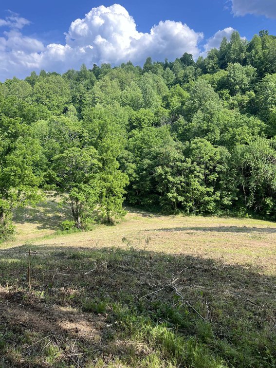 Image for 1771 & 1784 Hurricane Creek, Woodbury