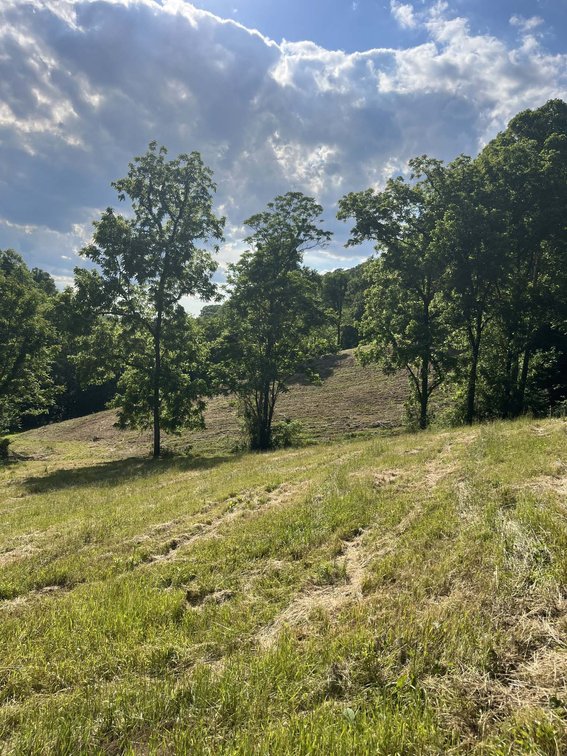 Image for 1771 & 1784 Hurricane Creek, Woodbury