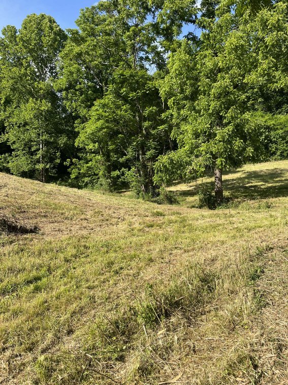 Image for 1771 & 1784 Hurricane Creek, Woodbury